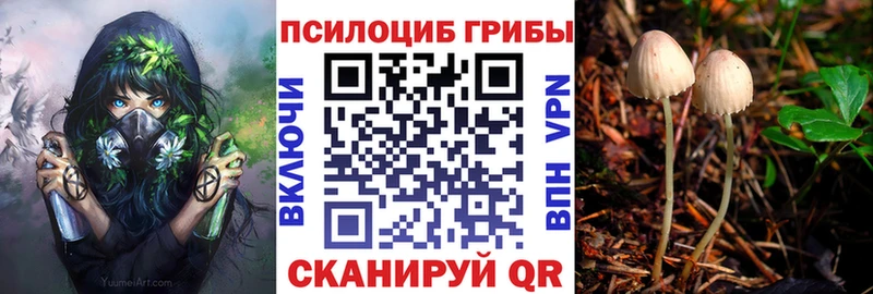 Псилоцибиновые грибы GOLDEN TEACHER  Ефремов 